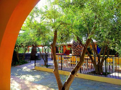 Κήπος έξω από το Village Mare