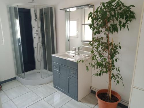 La salle de bains est pourvue d'un lavabo, d'une douche et d'une plante. dans l'établissement LES PIEDS DANS L'EAU, à Fécamp