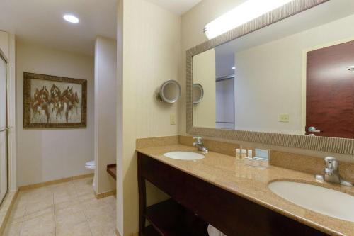 a bathroom with two sinks and a large mirror at Hampton Inn & Suites Wellington in Wellington