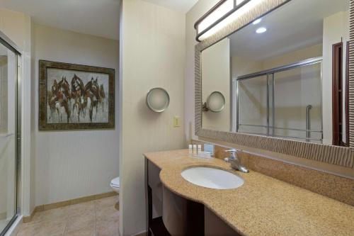 a bathroom with a sink and a mirror and a toilet at Hampton Inn & Suites Wellington in Wellington