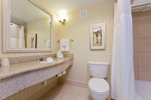 a bathroom with a toilet and a sink and a mirror at Hilton Garden Inn Winchester in Winchester