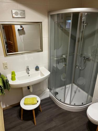 ein Bad mit einer Dusche und einem Waschbecken in der Unterkunft Ferienwohnung Makowitschka in Kreischa