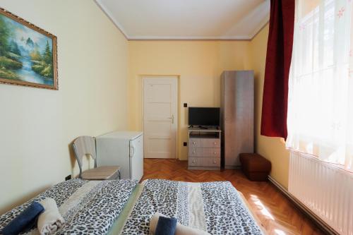 um quarto com uma cama, uma secretária e uma televisão em Balaton Panzió em Siófok