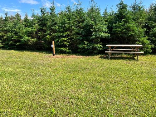 The Red Fox Campground – Photos 3