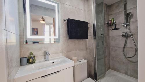 une salle de bain avec une douche, des toilettes et un lavabo dans l'établissement Loft Place Massena, à Nice