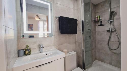 a bathroom with a shower and a toilet and a sink at Loft Place Massena in Nice