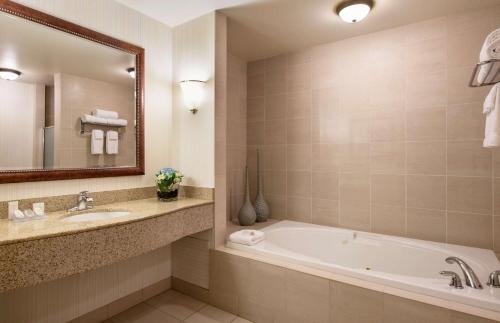 a bathroom with a tub and a sink and a mirror at Hilton Garden Inn West Edmonton in Edmonton