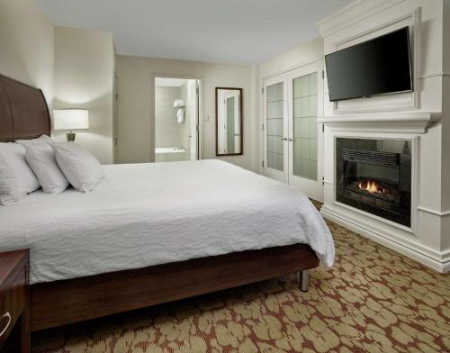 a bedroom with a bed with a fireplace and a television at Hilton Garden Inn West Edmonton in Edmonton