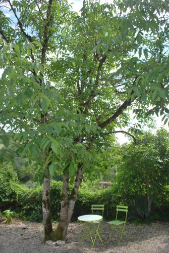 a table and chairs under a tree in a park at La ferme de Roquedure in Montfaucon
