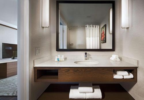 a bathroom with a sink and a large mirror at Hilton Garden Inn Montreal Airport in Dorval