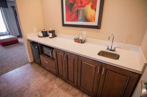 a kitchen counter with a sink in a room at Hampton Inn & Suites Dallas/Frisco North-Fieldhouse USA in Frisco