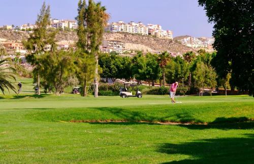 a man is playing golf on a golf course at Suite Bonalba in Alicante