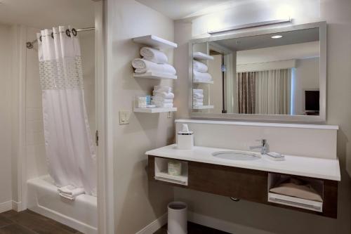 布萊斯的住宿－加利福尼亞州布萊斯漢普頓酒店及套房，一间带水槽、镜子和淋浴的浴室