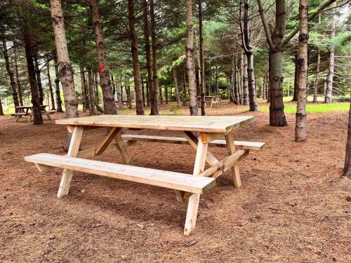 The Red Fox Campground – Photos 5