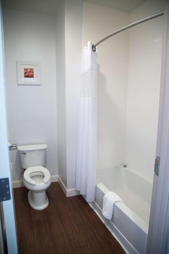 Hampton Inn and Suites by Hilton McKinneyにあるバスルーム