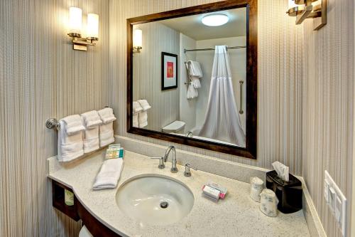 Hilton Garden Inn Memphis/Wolfchase Galleria في ممفيس: حمام مع حوض ومرآة كبيرة