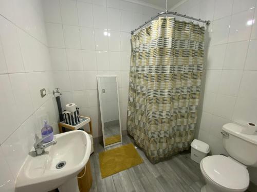 W łazience znajduje się toaleta, umywalka i prysznic. w obiekcie Oasis en Cerro Alegre w mieście Valparaíso