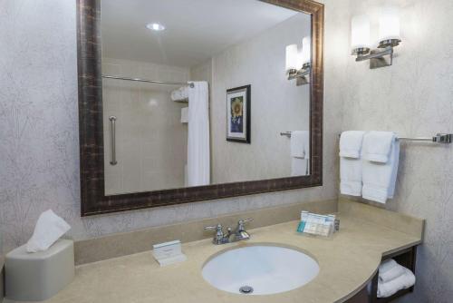 uma casa de banho com um lavatório e um espelho em Hilton Garden Inn San Antonio/Rim Pass Drive em San Antonio