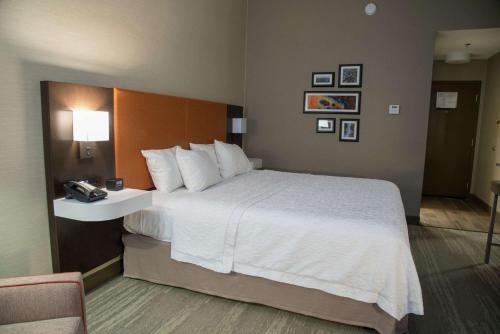 Pokój hotelowy z dużym łóżkiem i telefonem w obiekcie Hampton Inn Summersville w mieście Summersville