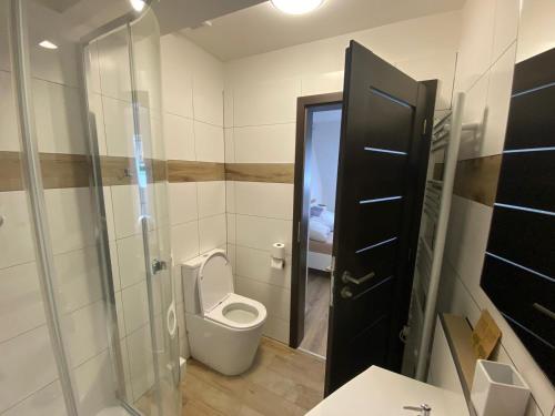 a bathroom with a toilet and a glass door at Penzion U Adama in Karlštejn