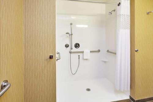 a shower stall in a bathroom with a shower curtain at Hampton Inn & Suites Milwaukee/Franklin in Franklin