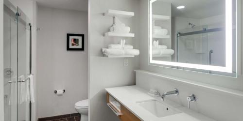 a bathroom with a sink and a mirror and a toilet at Hampton Inn & Suites - Knoxville Papermill Drive, TN in Knoxville