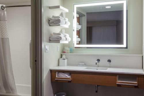 a bathroom with a sink and a mirror at Hampton Inn & Suites - Knoxville Papermill Drive, TN in Knoxville