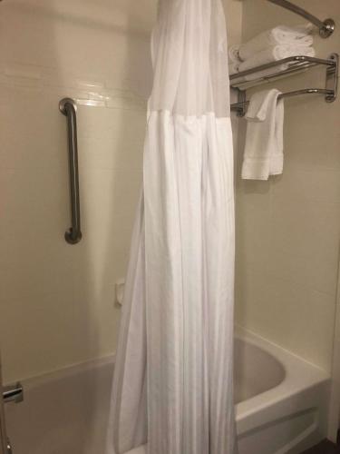 a bathroom with a shower curtain next to a bath tub at Hilton Garden Inn Bristol in Bristol