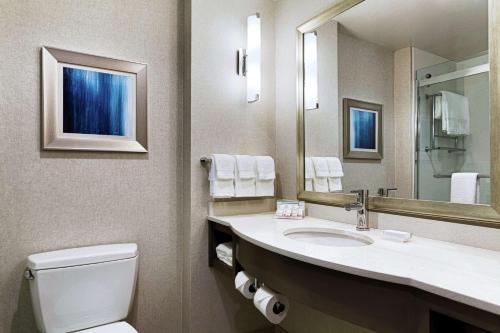 ein Badezimmer mit einem WC, einem Waschbecken und einem Spiegel in der Unterkunft Hilton Garden Inn Lenox Pittsfield in Pittsfield