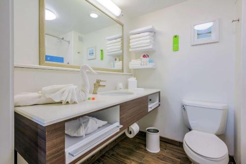 uma casa de banho com um WC, um lavatório e um espelho. em Hampton Inn Tampa International Airport/Westshore em Tampa