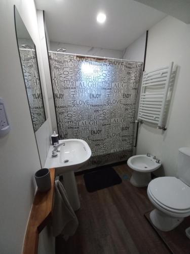 a bathroom with a sink and a toilet and a shower at Jen Patagonia in San Carlos de Bariloche
