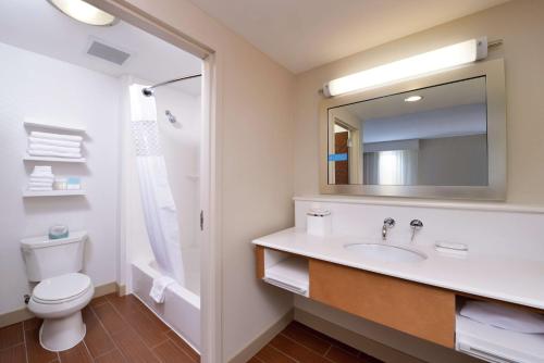 a bathroom with a sink and a toilet and a mirror at Hampton Inn & Suites by Hilton Lonoke in Lonoke