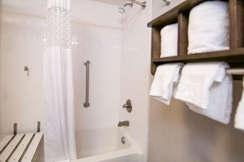 a bathroom with a shower and a bath tub with a shower curtain at Hampton Inn Hernando, MS in Hernando