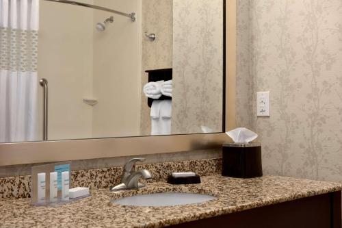 a bathroom with a sink and a large mirror at Hampton Inn and Suites Parkersburg Downtown in Parkersburg