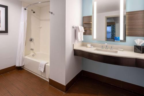 a bathroom with a sink and a tub and a mirror at Hilton Garden Inn Roanoke in Roanoke