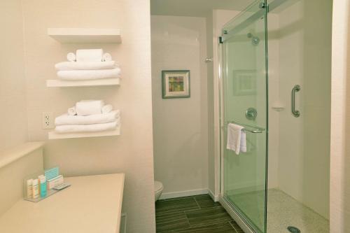 y baño con ducha, aseo y toallas. en Hampton Inn Springfield-Southeast, MO, en Springfield