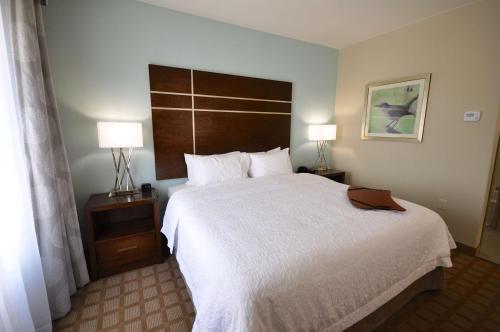 Postel nebo postele na pokoji v ubytování Hampton Inn and Suites Hutto