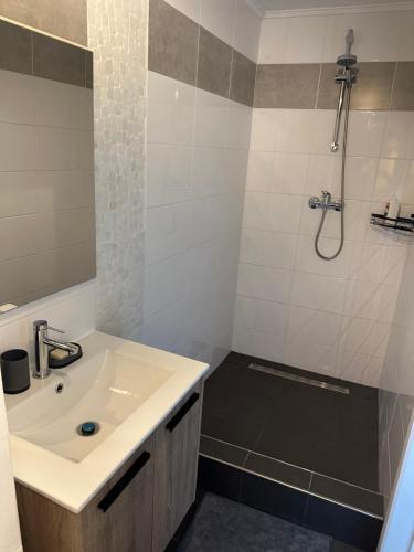 Studio Charmant&calme tesisinde bir banyo