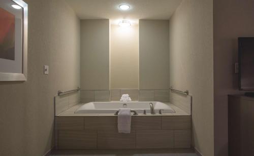 a bathroom with a bath tub with a large mirror at Hilton Garden Inn Bolingbrook I-55 in Bolingbrook