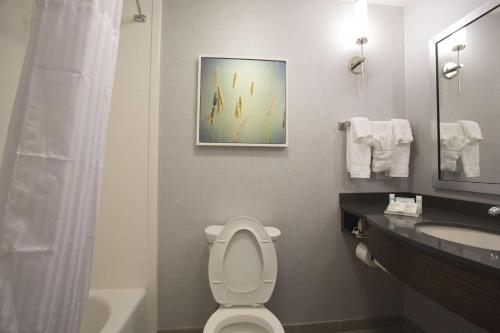 a bathroom with a toilet and a sink and a shower at Hilton Garden Inn Bolingbrook I-55 in Bolingbrook