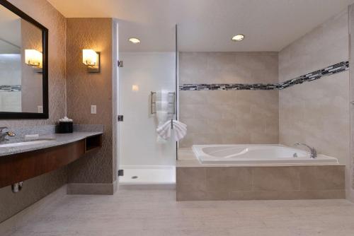 a large bathroom with a tub and a sink at Hilton Garden Inn Hobbs in Hobbs