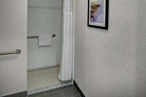 a bathroom with a shower and a picture on the wall at Homewood Suites by Hilton Richmond-Downtown in Richmond