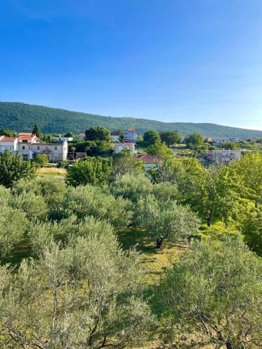 Φωτογραφία από το άλμπουμ του Villa Ema σε Tugare