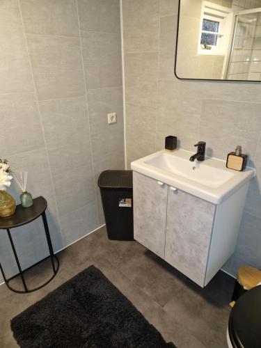 uma casa de banho com um lavatório branco e um espelho. em Chalet in Putten em Putten