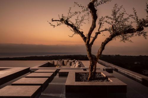 a tree on the roof of a building with a view at Memorias Villas and Suites in Vasilikos