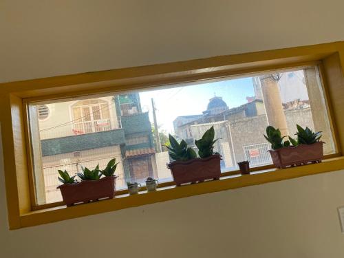 Φωτογραφία από το άλμπουμ του Pousada Flor do Sol σε Aparecida