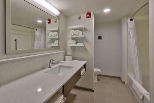 a bathroom with a sink and a mirror and a toilet at Hampton Inn & Suites Artesia in Artesia