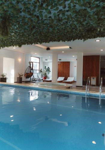 Бассейн в Boutique Hotel & Spa Bosque del Nahuel или поблизости