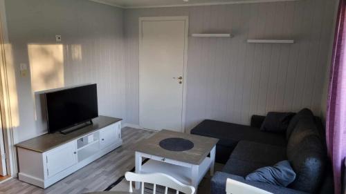 a living room with a couch and a tv at Lofoten Overnatting - Ballstad in Ballstad