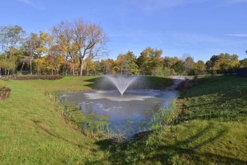 a pond with a fountain in a grassy field at Hampton Inn & Suites Ann Arbor West in Ann Arbor